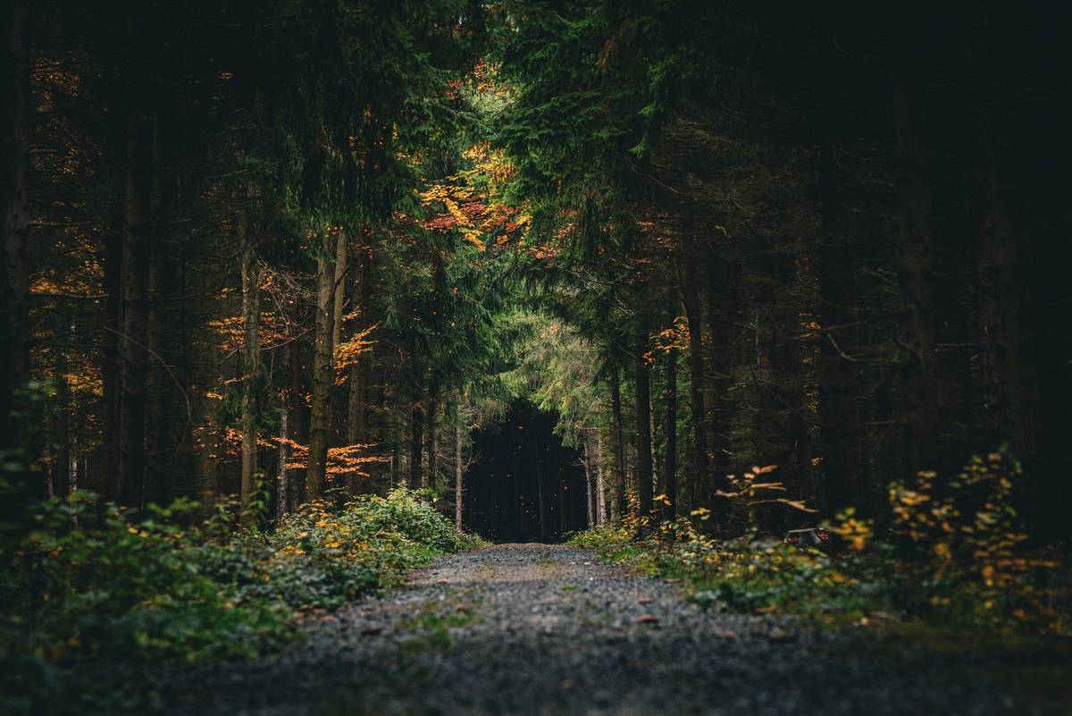 Cesta k Pánově březině má nevšední atmosféru.