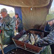 Přímo na hrázi Veselského rybníka prodávali rybáři kapry za 85 korun.