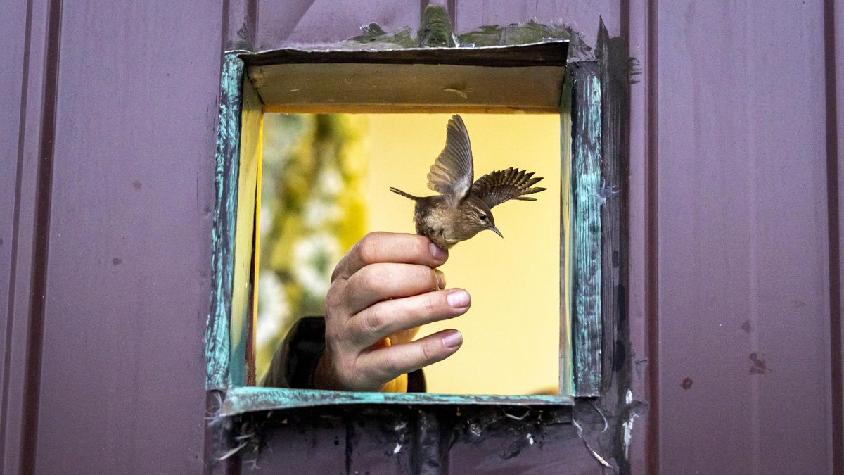 FOTO: Jan Handrejch z Novinek oceněn v prestižní soutěži Czech Press Photo