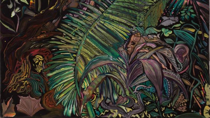 OBRAZEM: Mystická Amazonie na velkolepých plátnech. Otto Placht vystavuje v Obecním domě