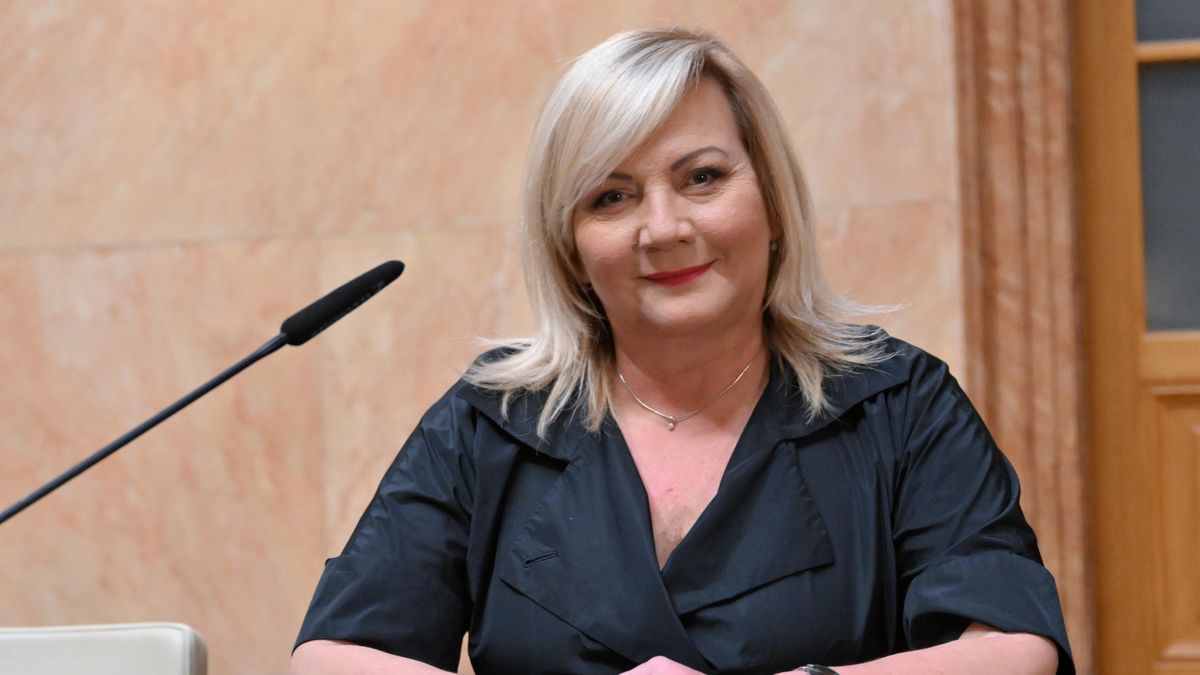 Žádné vyšetřování Babiše ve Francii neprobíhá, tvrdila Schillerová občanům. Francouzská prokuratura to vyvrací