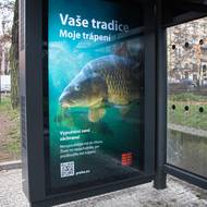 Na utrpení upozorňuje i letos už podruhé kampaň města Prahy „Vaše tradice, moje trápení“.