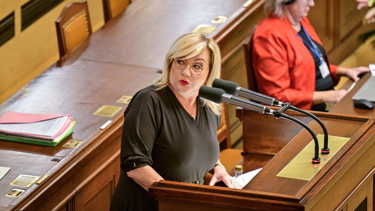 Parchant jeden, vyjela Schillerová na Fialu. Nové dno, reagoval premiér
