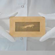 Automobilka dostala nový znak, stále si však uchová i tradiční motiv jaguára ve skoku.