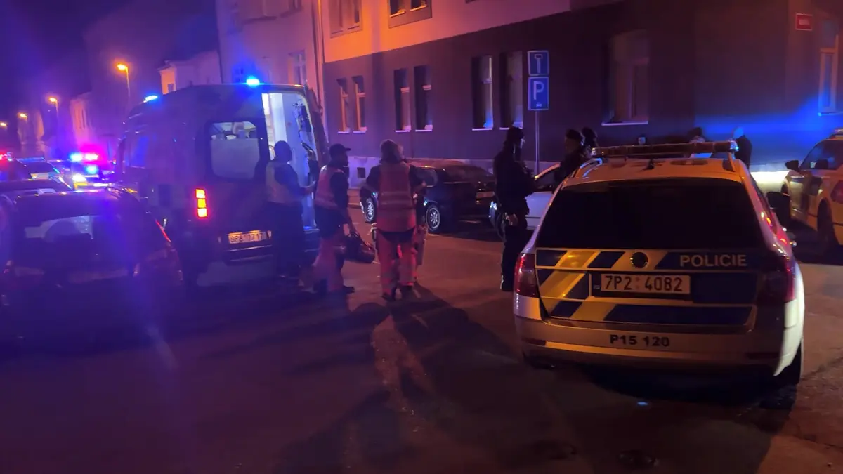 Dvěma noži ubodal bratra a těžce zranil otce. K soudu půjde muž z Plzně jen za opilství