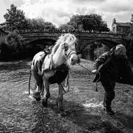 Kategorie Každodenní život. David Sládek, Koňský trh v Appleby 2024