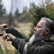 Při odchytávání používají speciální jemné sítě, aby se opeřencům nic nestalo. 