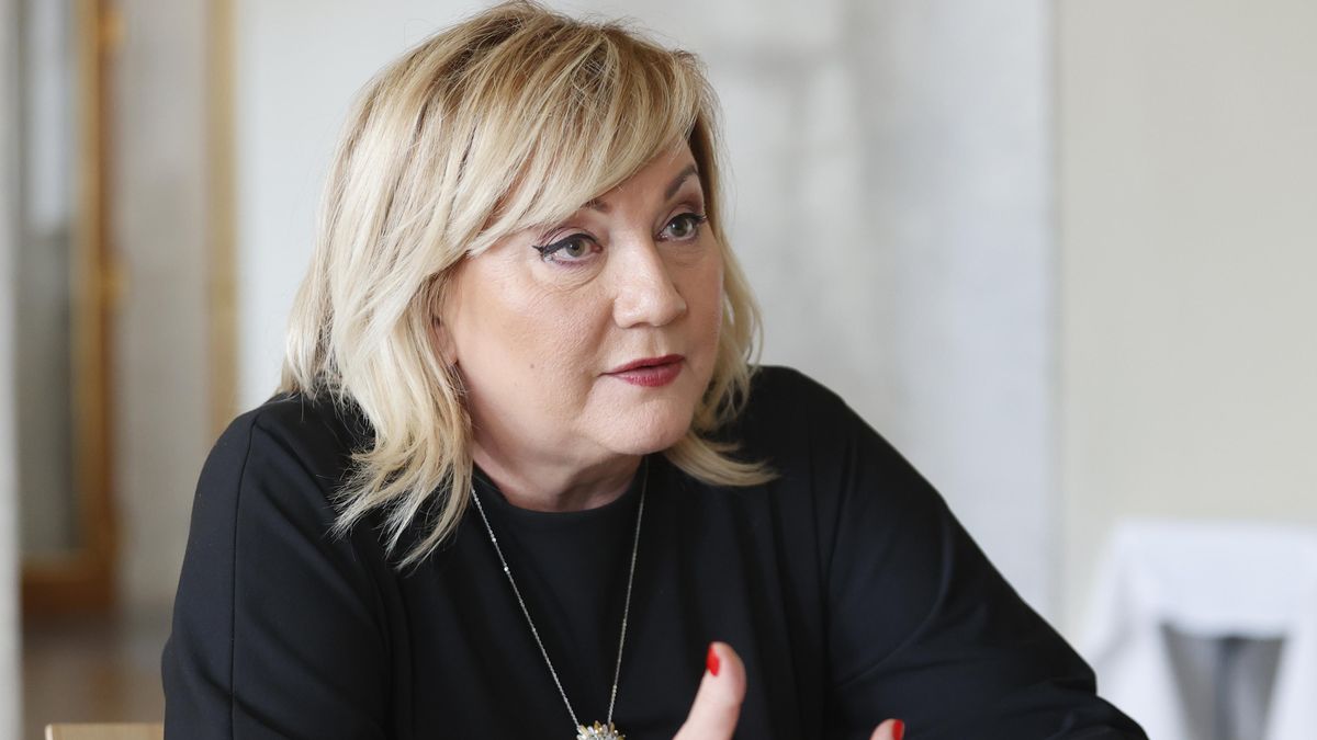 ANO může s EET narazit. Motoristům ani SPD se nelíbí
