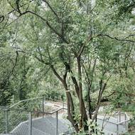 Vegetace na původní skládce byla velmi hustá. Architekti se rozhodli vysadit mnoho nových druhů rostlin, o nichž věděli, že zvládnou sloučení se stávajícím porostem.