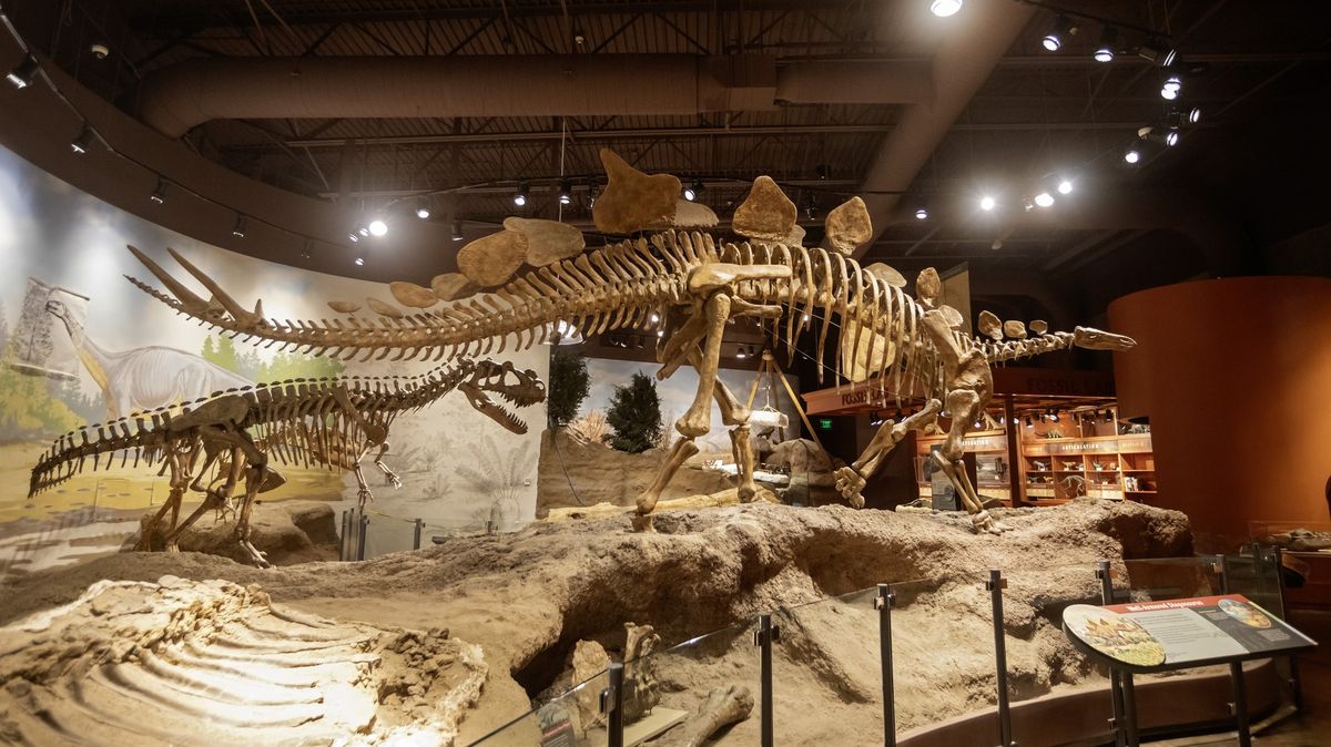 Dinosauři osídlili severní polokouli mnohem dříve, než si vědci mysleli