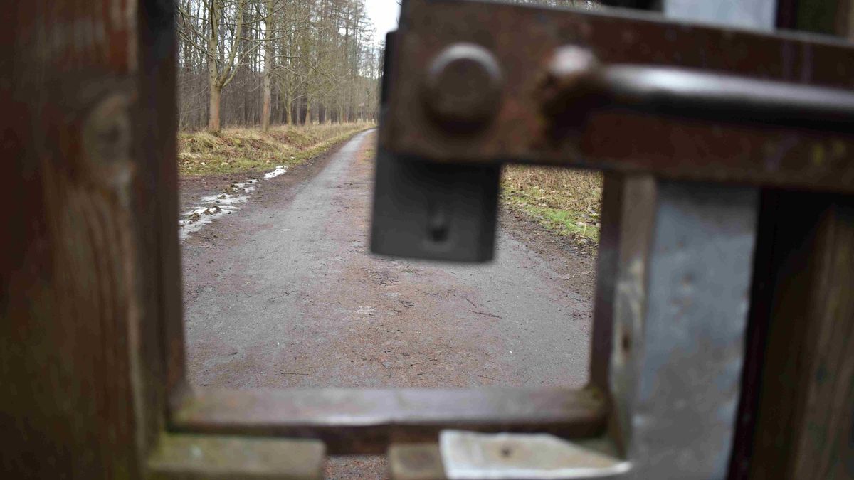 Lesy ČR slíbily zpřístupnit lesní oboru na Bruntálsku turistům, místo toho ji pronajaly lovcům
