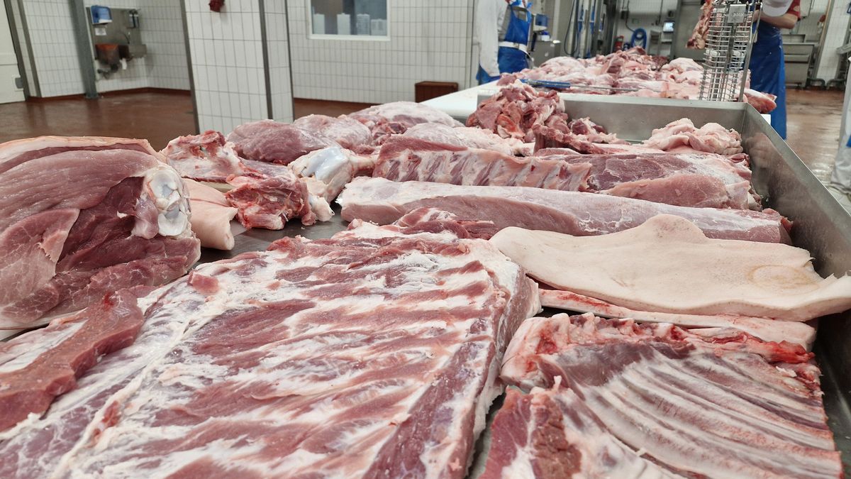 Česko má dost surovin, jídlo ale dováží. Soběstačnost na talíři klesá