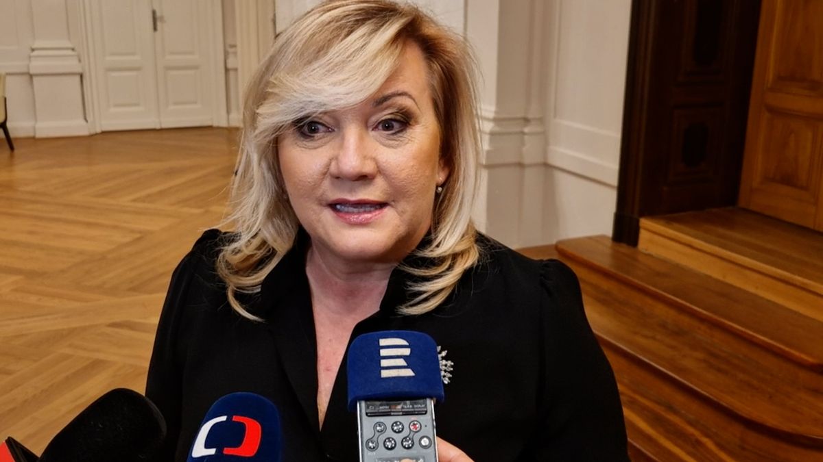 ANO podalo další ústavní stížnost, tentokrát na důchodovou reformu