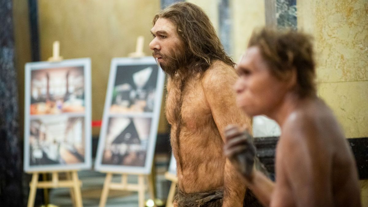 Národní muzeum v Praze láká letos na dvě světové výstavy, otevře i novou expozici