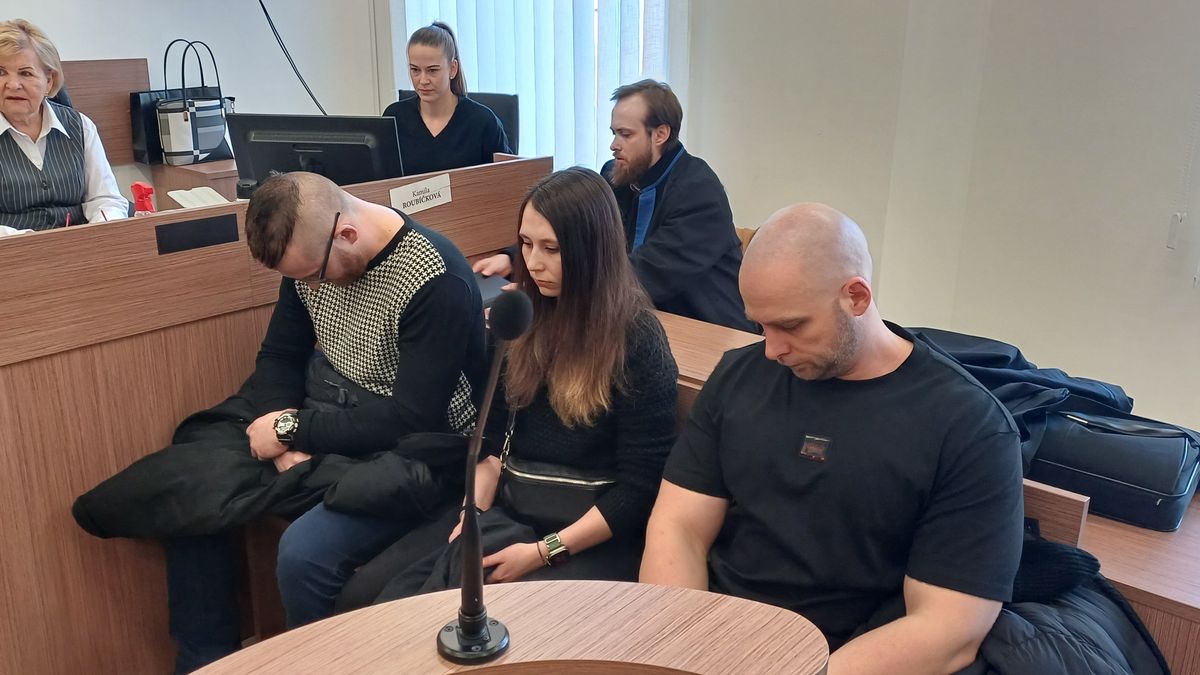 Žalobce chce podmínky pro agresivní policisty, kteří před pražským barem napadli dívku