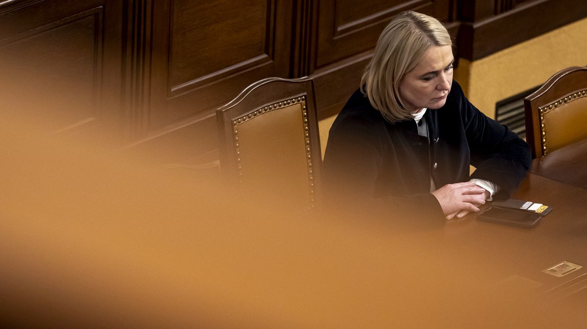 Vojáci vyšší platy nemají jisté, Černochová naštvala celou vládu