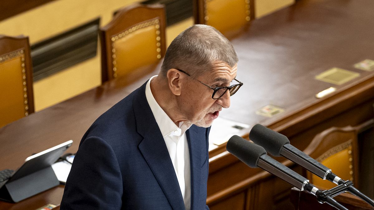 Babiš musí vyřešit, co s Agrofertem. Riskuje dotace nebo křeslo ve vládě