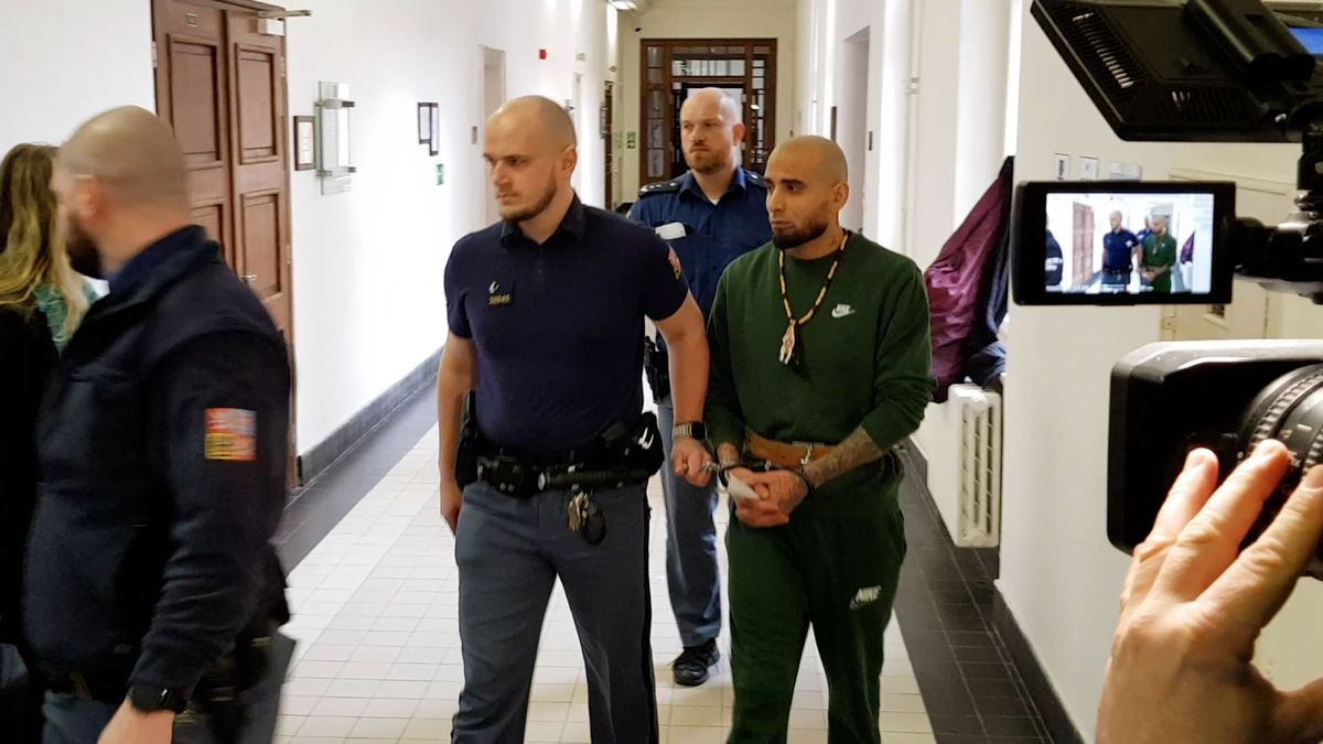 Před dětmi ubodal expartnerku a spolubydlící zranil tak, že skončila na vozíku. Nejvyšší soud mu potvrdil doživotí