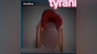 Drsná matka z videa, které vzbudilo odpor, stíhána nebude
