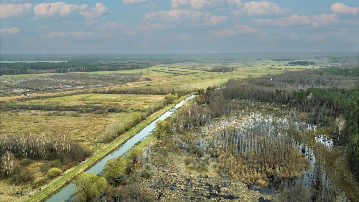 Na polské řece se objevila vzácná ledová palačinka