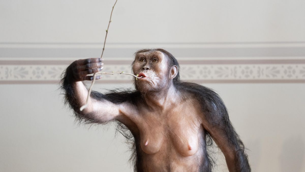 Národní muzeum vystavuje slavnou Lucy starou tři miliony let