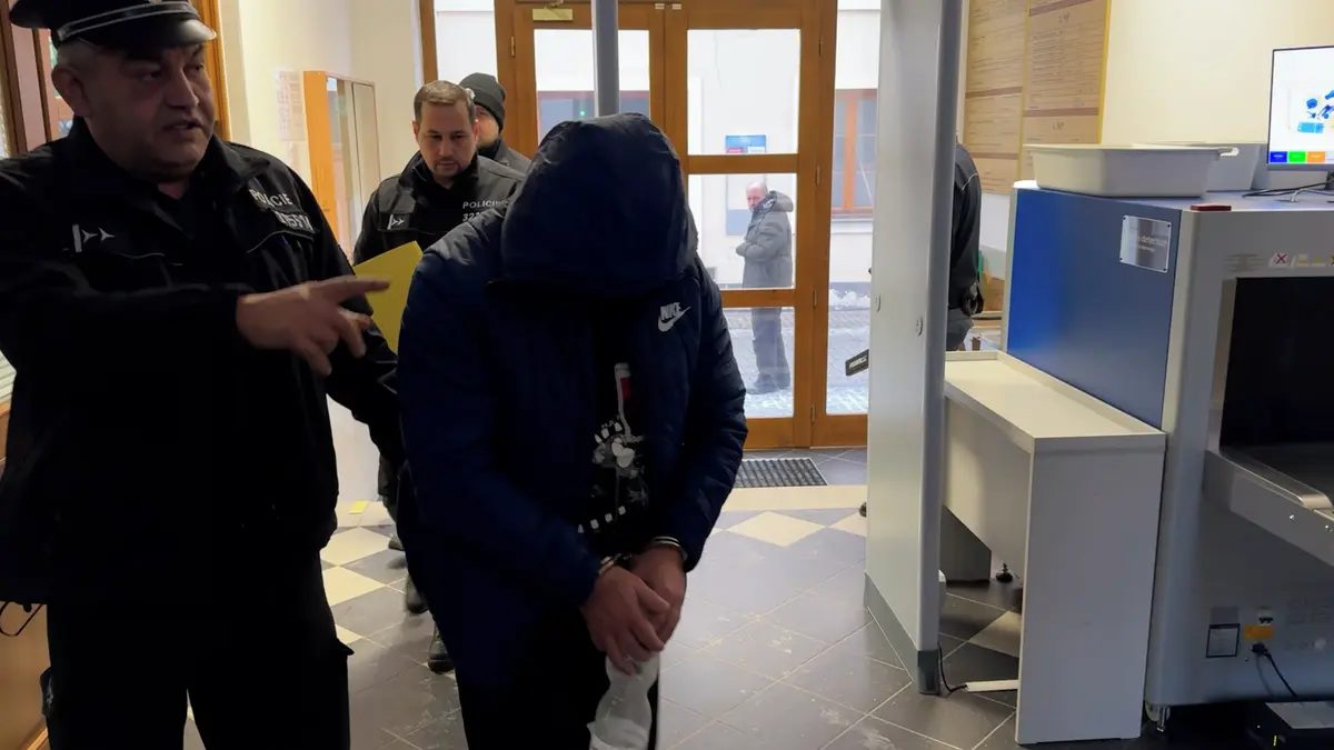 Řidič kamionu z Ústecka vykrádal obchody jako nindža. Půjde na 3,5 roku za mříže