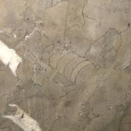 Zkamenělina hlavonožce ve zbuzanském vápenci na Hlavním nádraží