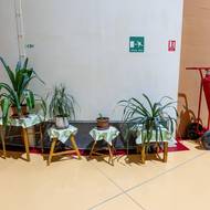 Květinám se v podzemí očividně daří. 