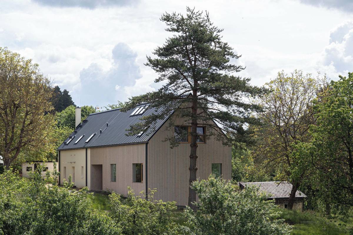 Přístavba sahá až k borovici, kterou si majitelé přáli zachovat. 