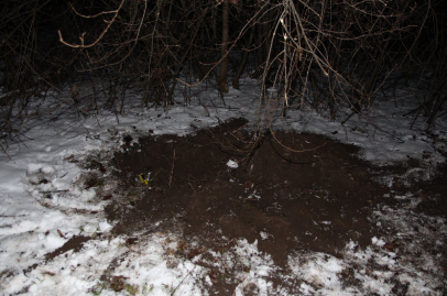 Cắt cổ một con chó cái. Tòa án tại Děčín đã giam giữ thanh niên này