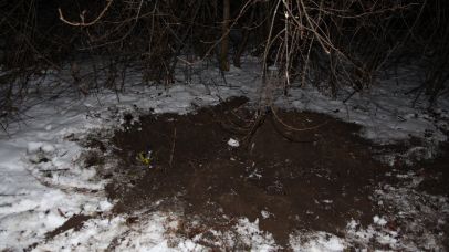 Je nebezpečný. Mladíka, který podřízl fenu, potrestal soud v Děčíně čtyřmi roky vězení