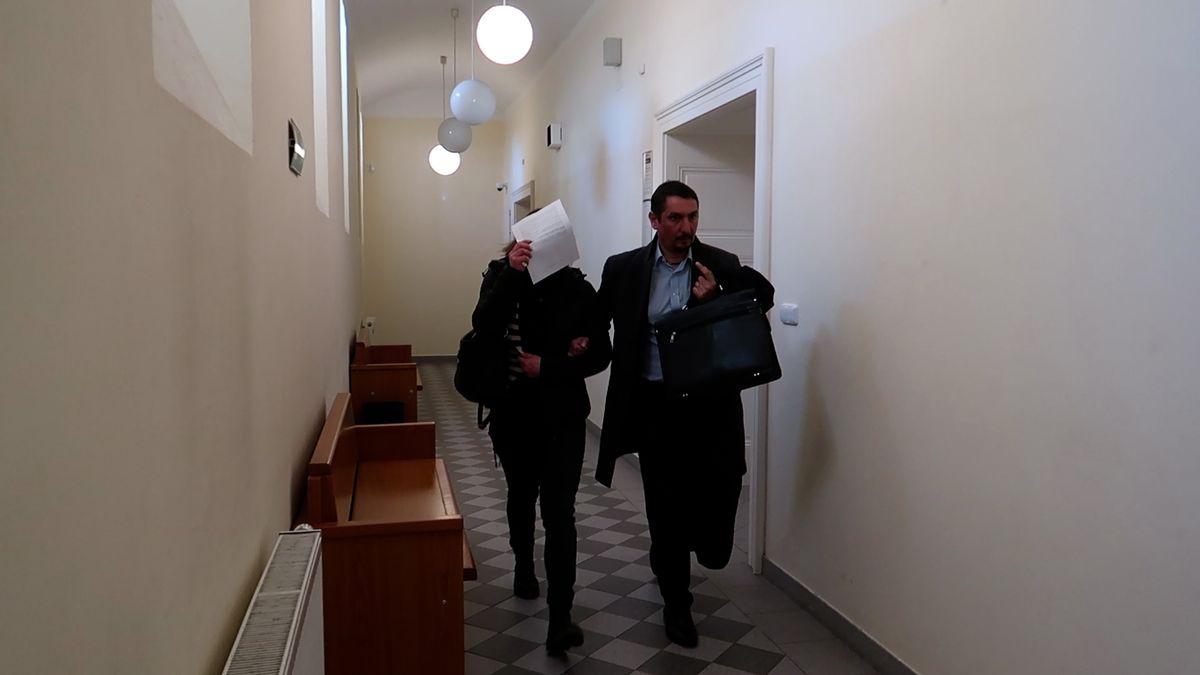 Kňučení, křik a krev na dlažbě. Soud rozplétá smrt fenky Bibinky, majitelce hrozí vězení