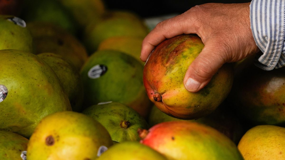 Potraviny, tequila, elektronika i hračky. Američanům se cla prodraží