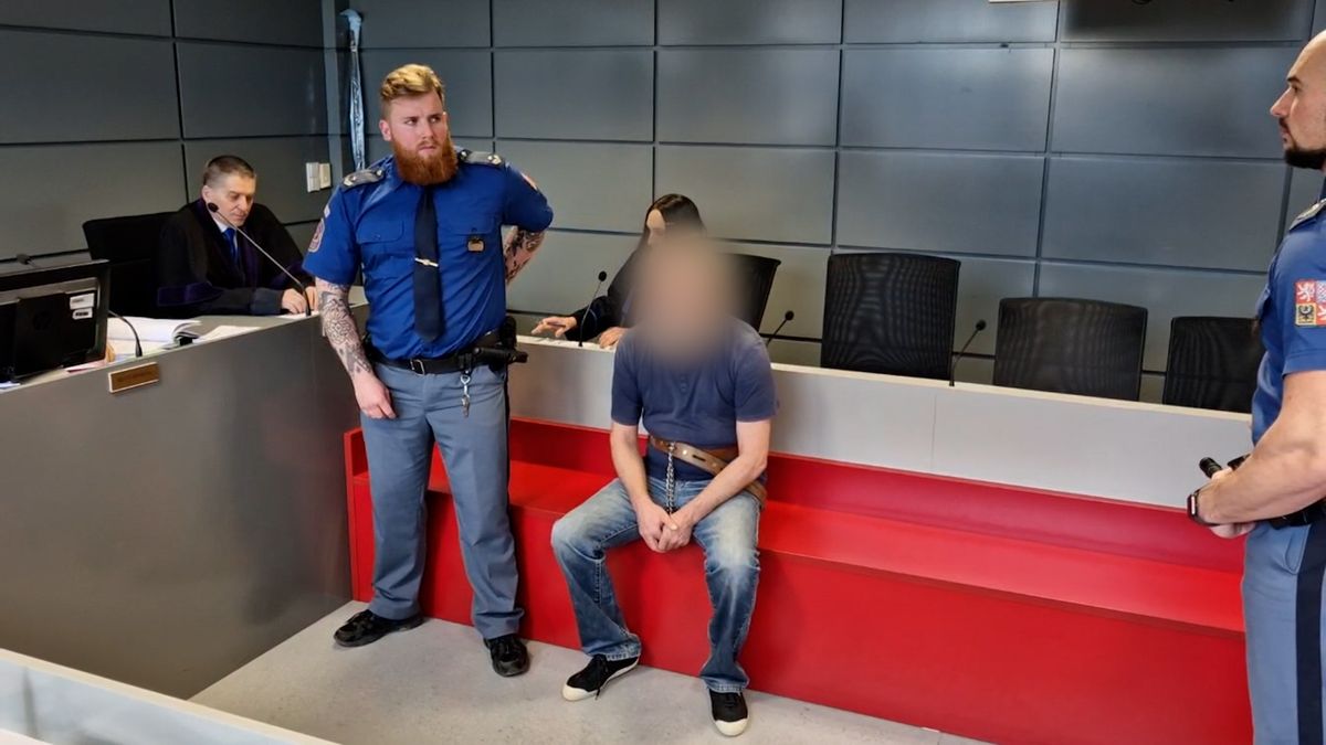 Za pobodání syna čtyřzubými vidlemi vyfasoval otec deset let