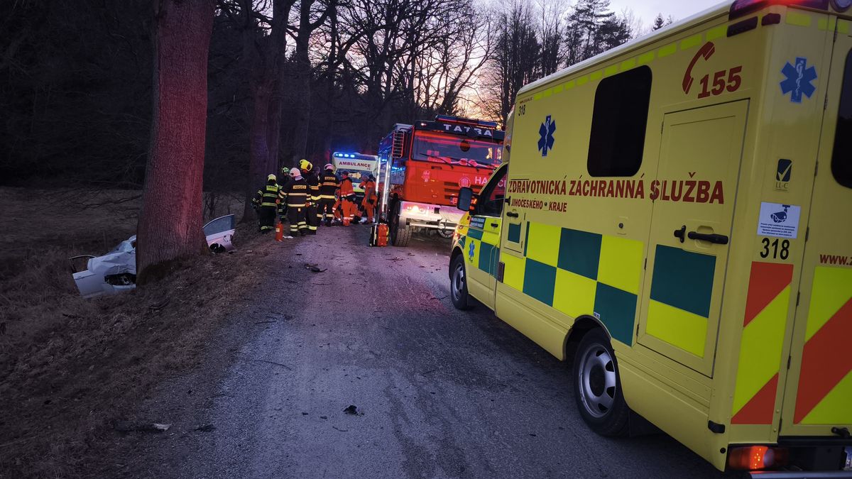 Auto na jihu Čech narazilo do stromu. Pomoc volal sám řidičův mobil, ale marně