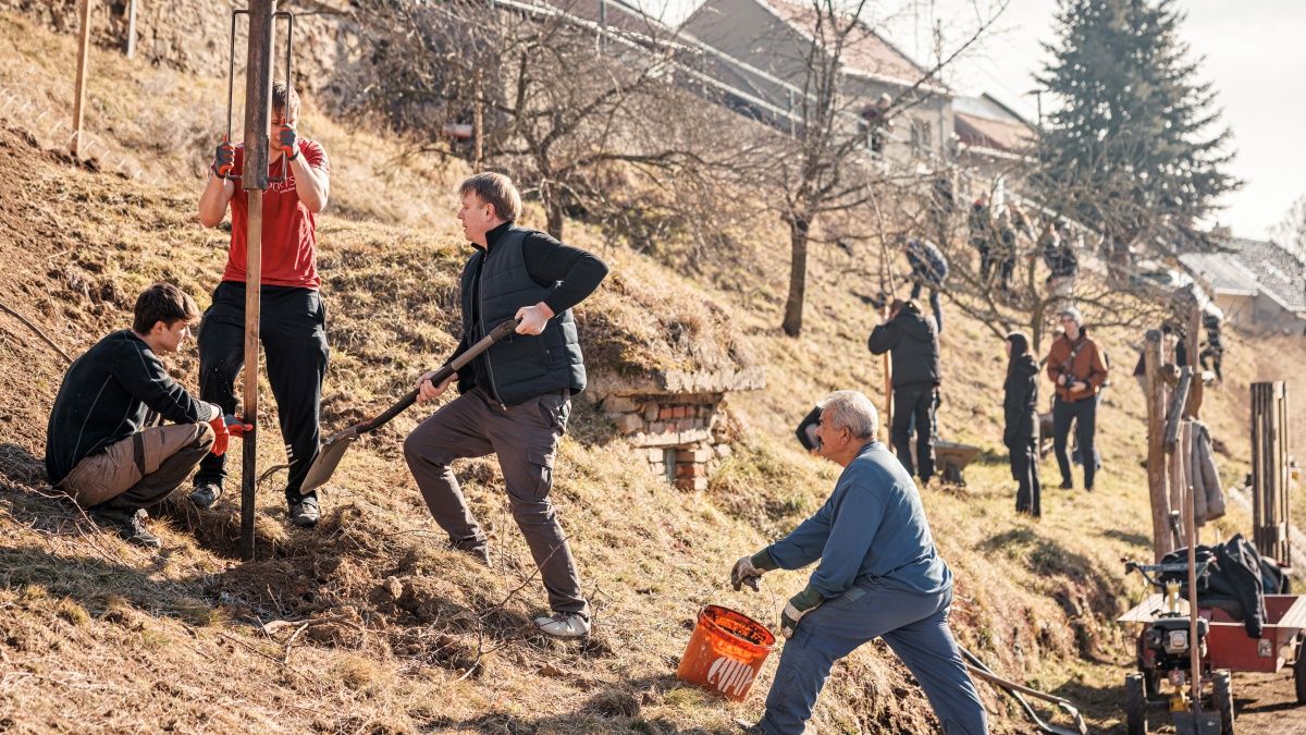 Slatinky na Prostějovsku mají Akademický sad. Vysazovali jej i studenti