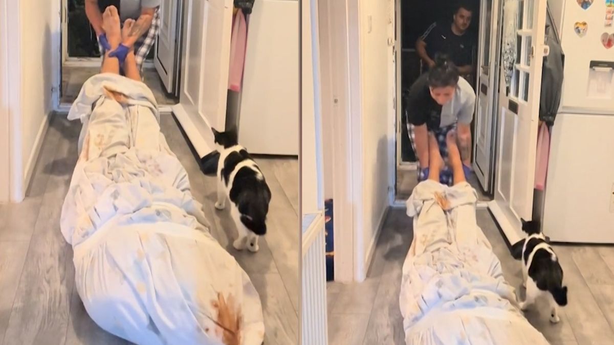 Zabila jsem ho. Britka drsným vtípkem s kečupem vyděsila kurýra