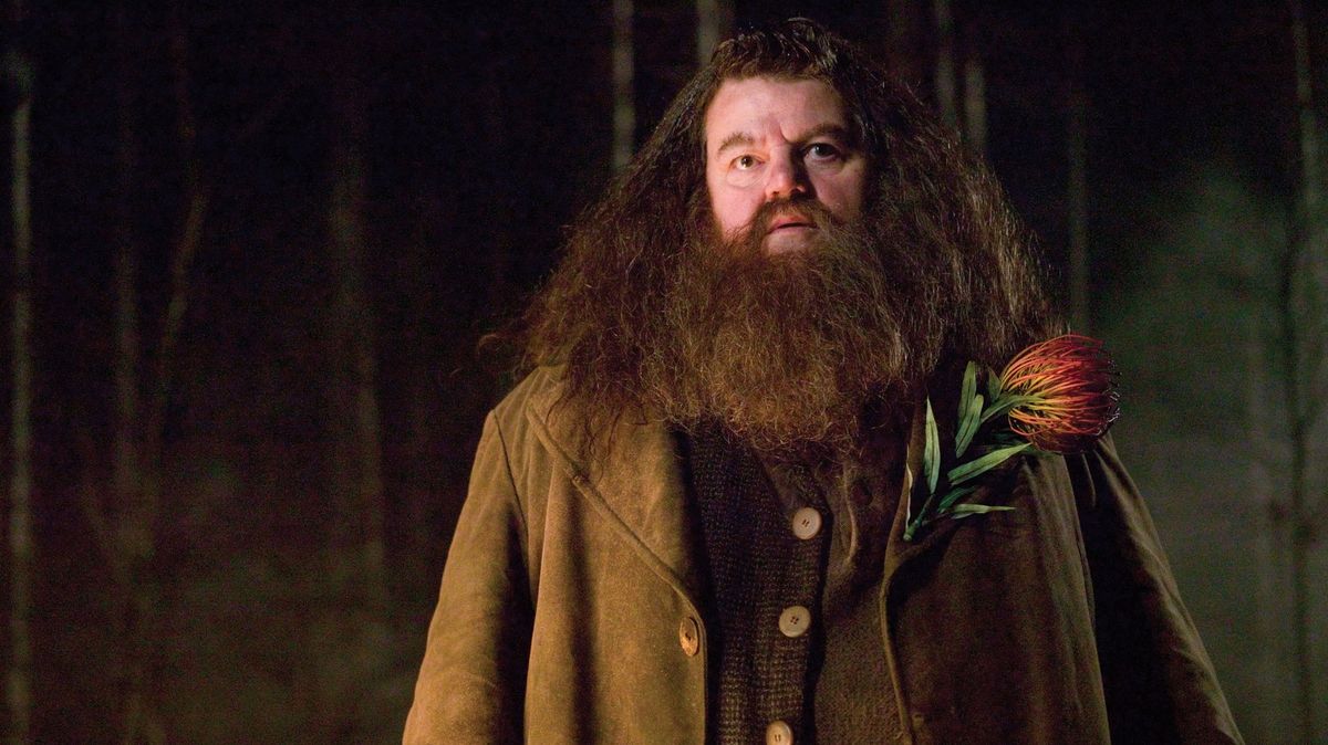Seriálový Harry Potter ulovil svého Hagrida