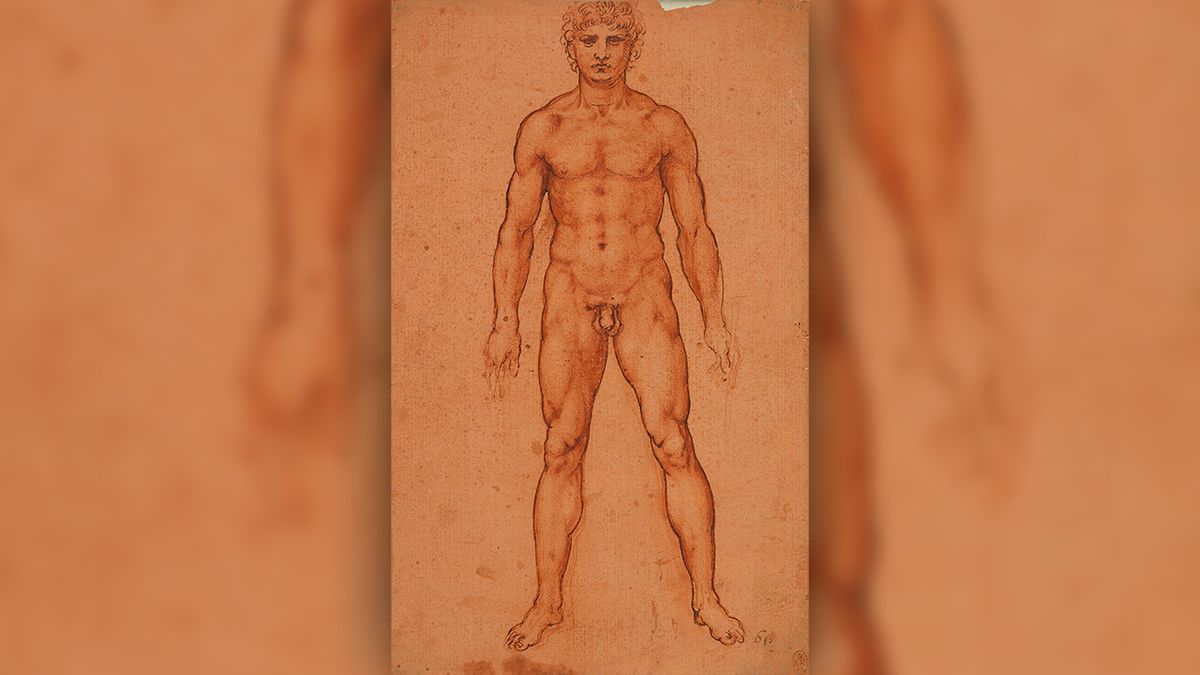Vídeňská Albertina zve na mistrovské kresby Leonarda da Vinci a Albrechta Dürera