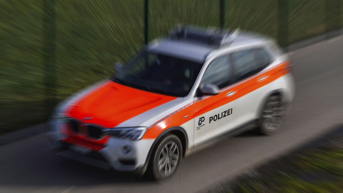 Železná tyč a proražená lebka. Dva švýcarští senioři se brutálně servali kvůli sporu o pozemek