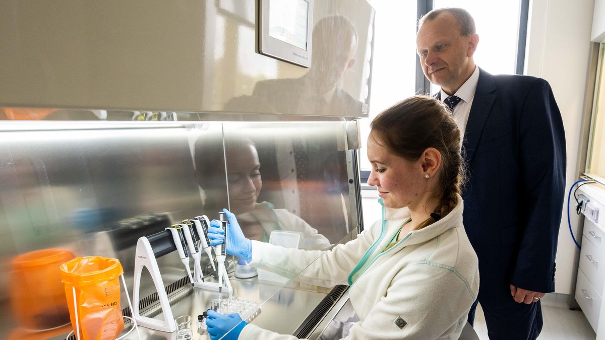 Česká metoda na odhalení rakoviny slinivky získala patent v USA