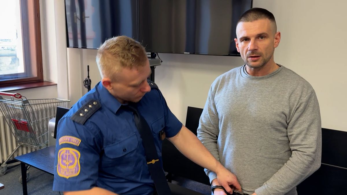 Chladnokrevný agresor, který v Plzni postřelil školačku, dostal 6,5 roku