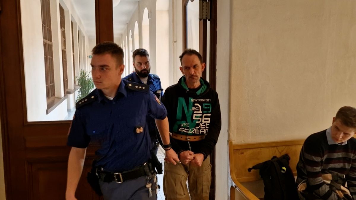 Svou mentálně zaostalou přítelkyni opakovaně znásilňoval, soud mu potvrdil čtyři roky