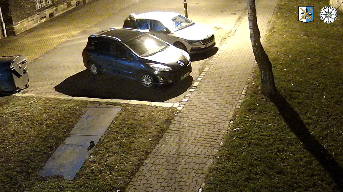 Muž v Ostravě po propuštění z vězení vykradl 70 aut. Skončil opět ve vazbě