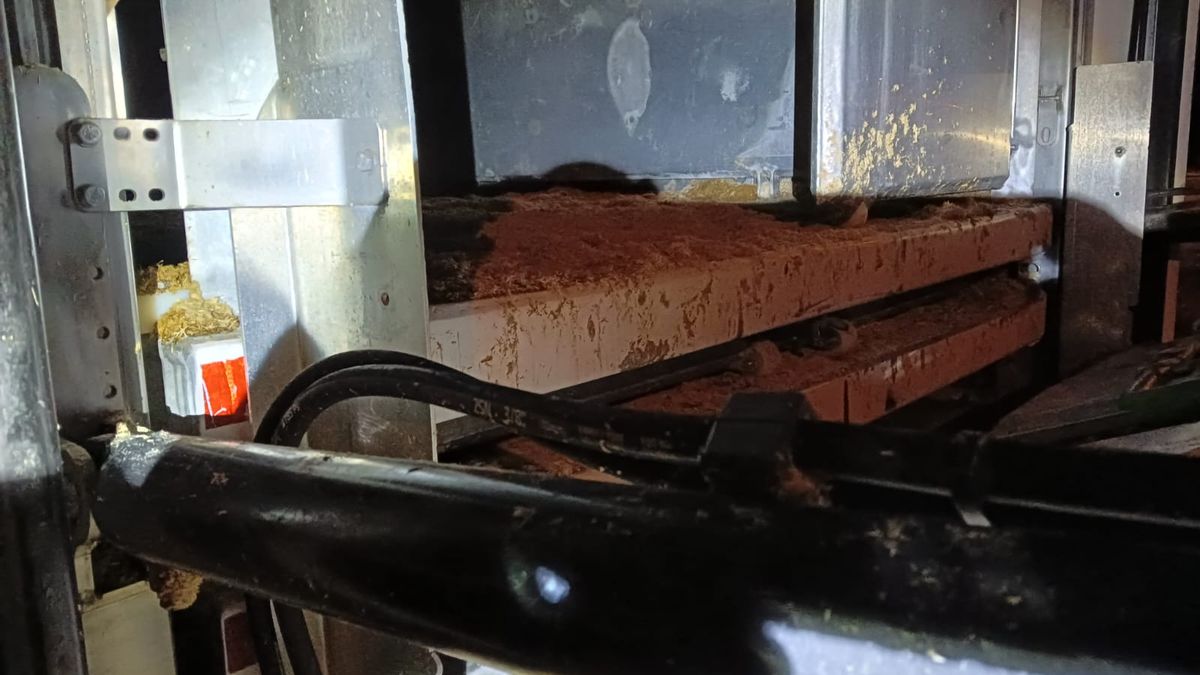 Hnůj a do čistoty daleko. Policie do Česka nepustila dva kamiony pro prasata