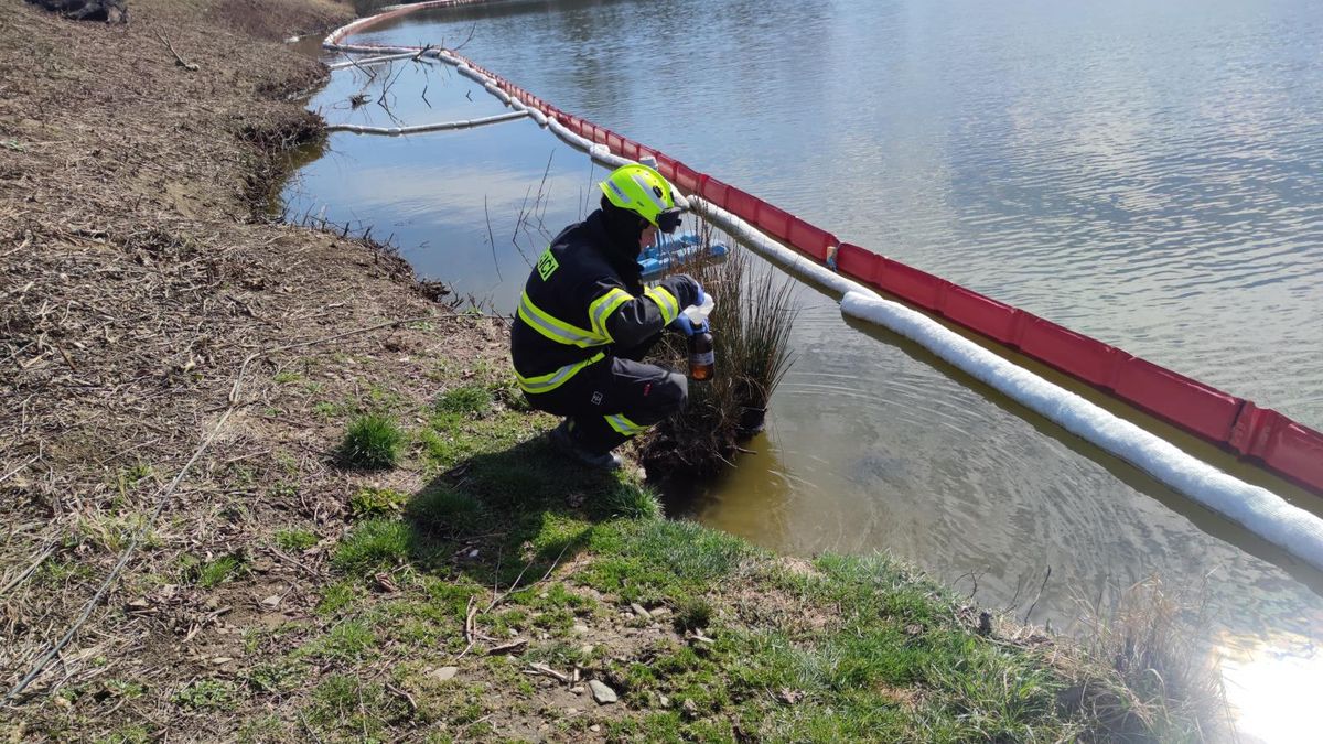 Dobrá zpráva od rybářů: Hodnoty benzenu v jezeře v Hustopečích klesly