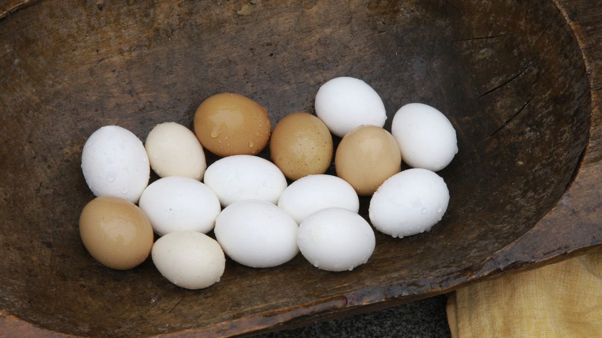Tucet vajec stojí 70 korun. A cena nejspíš dál poroste