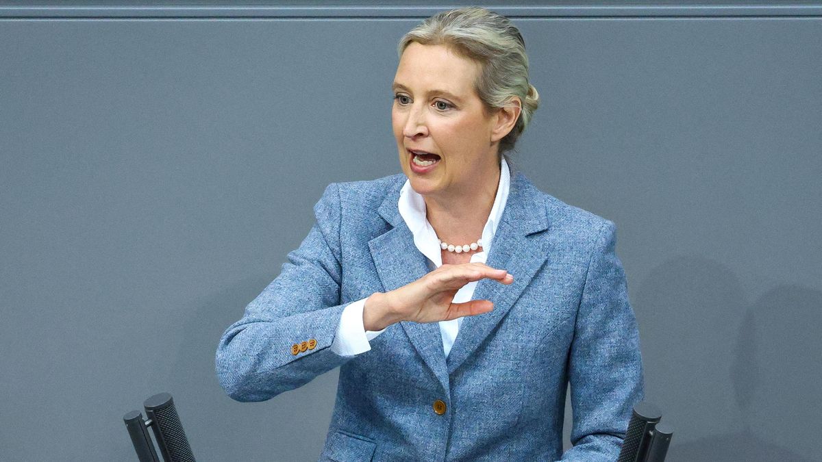 Podpora AfD v Německu je měsíc po volbách rekordní