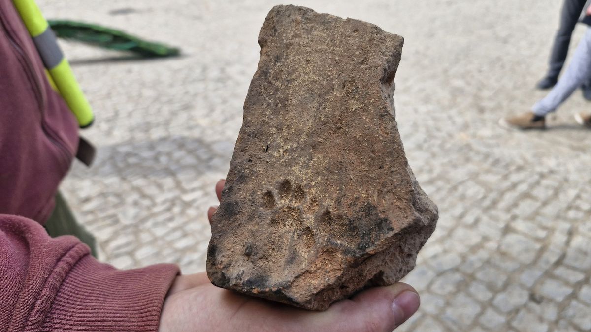 Archeologové našli na cihlách pod pardubickým zámkem otisky tlap zvířat. Měly ochránit stavbu