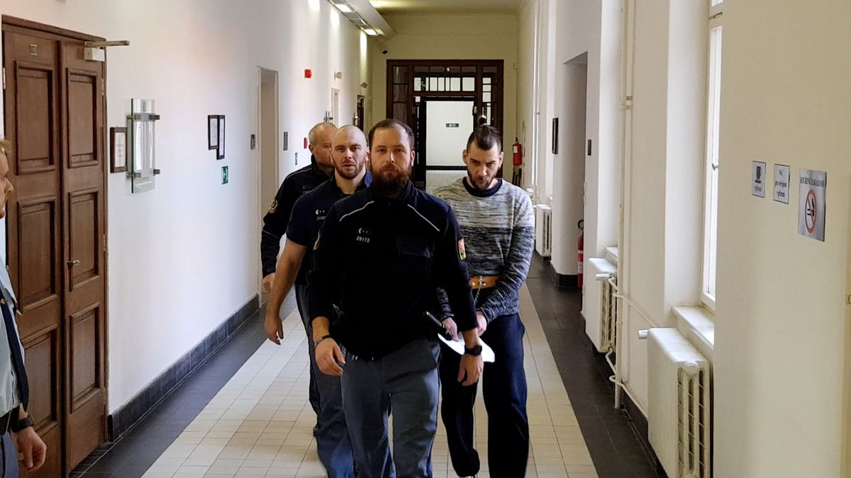 Přítelkyni ubodal, posekal a strčil do popelnice. Soud mu snížil trest
